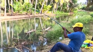 Amazing Hook Fishing in Canal🎣🎣 Double Hook Fishing Techniques 🐟 Village Traditional Floating Method [upl. by Kitarp]