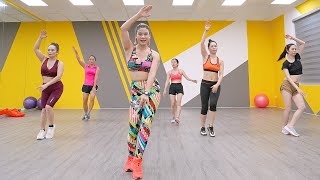 → Do This STANDING 30Min to Lose That STUBBORN BELLY FAT  Zumba Class [upl. by Arias]