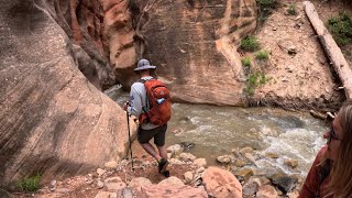 Need a HIDDEN Hike in Utah Kanarra Falls [upl. by Narcis]