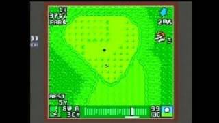 Mario Golf Game Boy Gameplay [upl. by Hnim]