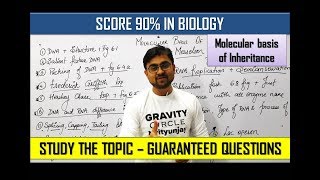 Important Questions  Molecular Basis of Inheritance  Chapter 6 Class 12 [upl. by Ailam838]