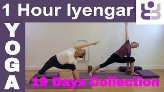 One Hour Iyengar Yoga Class  19 Days of Yoga Collection [upl. by Anal]