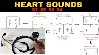 Heart Sounds  S1 S2 S3 S4  Physiology [upl. by Oznerol]