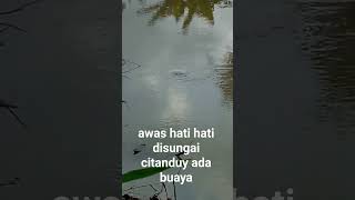 hati hati disungai citanduy ada buaya😲 [upl. by Sirad108]