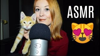 ASMR Chaton 😻 [upl. by Iramaj993]