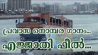 വല്ലാത്തൊരു പ്രവാസ നൊമ്പരമാണീ ഗാനം [upl. by Epoh564]