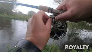 Throop Fishery Dorset Stour and Royalty Fishery Barbel Fishing Takes Compilation [upl. by Tterraj]