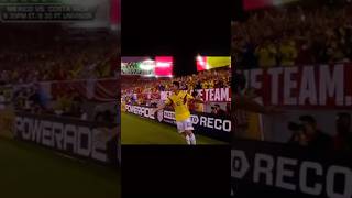 James rodriguez amazing goal vs usa🥵 [upl. by Dew]