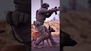 dog k9 military k9protection dogtraining germanshepherd police doglover usmilitary [upl. by Delp]