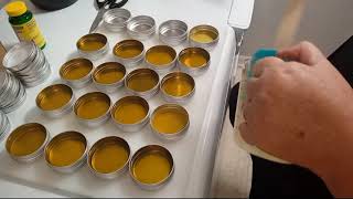 Making A Chickweed Salve [upl. by Ragas981]