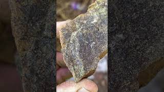 Mineralization possible gold content goldore goldmines [upl. by Mohr133]