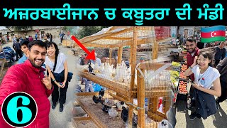 Local Market in Azerbaijan🇺🇿  ਅਜ਼ਬਾਈਜਾਨ ਚ ਕਬੂਤਰਾਂ ਦੀ ਮੰਡੀ [upl. by Ziza]