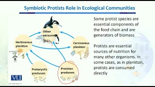 Symbiotic Protists Role Ecological Communitie  Ecology Biodiversity EvolutionII  BT201Topic029 [upl. by Atinaj]