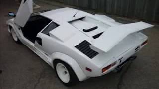 Lamborghini Countach Replica [upl. by Shamma]