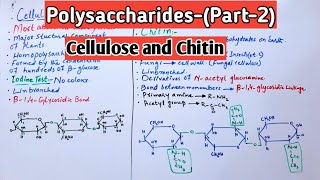 PolysaccharidesCellulose amp Chitin Jiyas Biology Tutorials [upl. by Hayilaa]