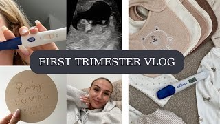 First Trimester Pregnancy Vlog  312 Weeks  UK First Time Mum  Scans Anxiety amp Symptoms [upl. by Klotz251]