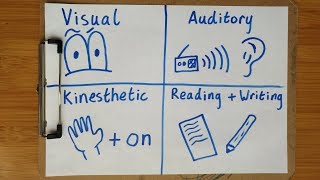 What kind of learner are you  The 4 different learning styles [upl. by Eibba]