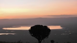 Ngorongoro Crater Safari [upl. by Irrej568]