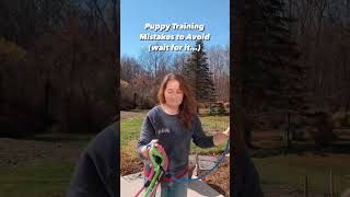 Puppy training mistakes to AVOID newpuppy puppytraining [upl. by Yerxa]