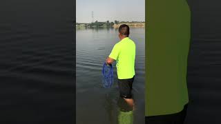 Frisbee cast a netfish [upl. by Schechter]