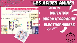 📣Acides Aminés  Ionisation Electrophorèse Chromatographie CHROMATOGRAPHYAMINOACIDS [upl. by Free]