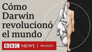 Evolución vs Dios por qué la teoría de Darwin fue revolucionaria  BBC Mundo [upl. by Atiugal]