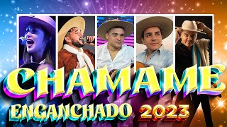 Chamame Enganchado 2023🎶 SELE VERA IVAN RUIZ ALMA CHAQUEÑA CHRISTIAN HERRERA [upl. by Rimaj198]