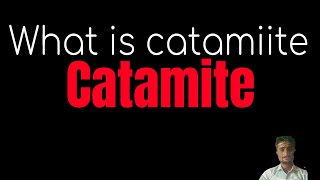 the meaning of catamite [upl. by Ardeid]