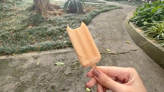 Trying several DELICIOUS ICE CREAM flavors in BRAZIL [upl. by Benkley352]