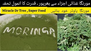 Moringa Powder  Drumstick Leaves Powder  How To Make Moringa Powder [upl. by Ettenim]