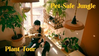 Pets amp Plants  Which of your houseplants are PETSAFE 🌱 PlantTour Petfriendly [upl. by Ariada472]