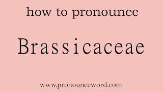 Brassicaceae How to pronounce Brassicaceae in english correctStart with B Learn from me [upl. by Lifton793]