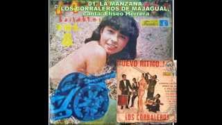 14 CAÑONAZOS BAILABLES VOLUMEN 8 DEL AÑO 1968 [upl. by Tebor403]