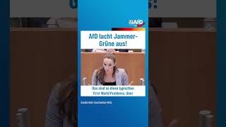 AfD lacht JammerGrüne aus afd ltnrw [upl. by Welton]