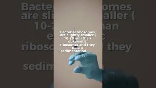 Ribosomesmicrobiologymicrobesprokaryotesytshortsytfactssciencecellular [upl. by Renick]