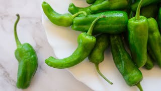 How to Cook Padron Peppers Pimientos de Padrón [upl. by Dunton]