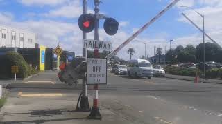 Raffles Street level crossing in Napier 3 [upl. by Lechar644]