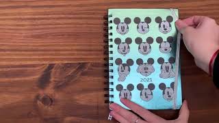 Agenda 2021 Mickey [upl. by Nol]