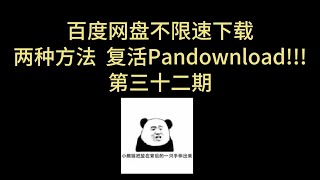 2024 两种方法复活 pandownload 百度网盘 不限速下载 批量解析 批量下载 pandownload 在线解析 三十二期 [upl. by Hait]