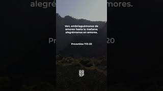 Proverbios 71320 biblevision biblia bible [upl. by Eniamrehs]