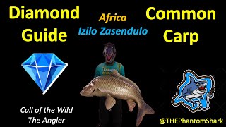 Africa Common Carp Diamond Guide Top Hotspot Izilo Zasendulo Reserve Call of the Wild The Angler [upl. by Christian]