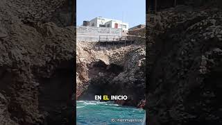 ISLAS BALLESTAS Part 1 🌊✨🐧 perú ica paracas islasballestas [upl. by Akenna]