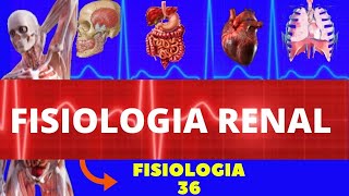 INTRODUÇÃO À FISIOLOGIA RENAL FISIOLOGIA HUMANA  SISTEMA EXCRETOR URINÁRIO  FISIOLOGIA GUYTON [upl. by Zita887]