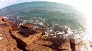 Boca Chica Beach Jetties Tarpon [upl. by Sherer568]