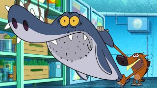 ZIG AND SHARKO  Chainsaw Shark SEASON 3 New episodes  Cartoon Collection for kids [upl. by Thorin]