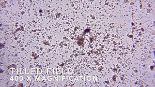 Soil Microscopy A View Into Regenerative Organic Soils [upl. by Atteroc]