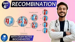 genetic recombination biochemistry  biomolecules biochemistry  biochemistry [upl. by Eidnim]