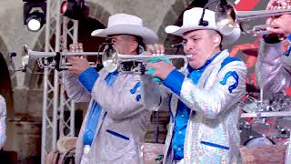 LA MAFIA MUERE  VAQUEROS MUSICAL [upl. by Koball]