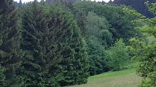 Schönbrunn im Odenwald das einzige Dorf Deutschlands ohne Straßenanschluss [upl. by Merle]