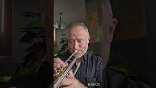 ROUTE 101 HERB ALPERT COVER TROMPETA PAUL GANCHALA [upl. by Zennie624]